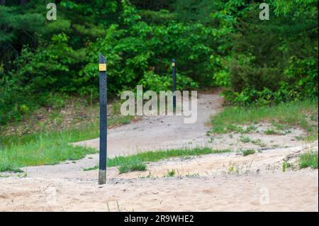 Wegmarkierungen zeigen den Weg auf einem sandigen Pfad durch den Wald Stockfoto