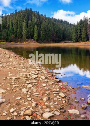 Nadelwald am See. Wunderschöne Herbstlandschaft an einem sonnigen Tag Stockfoto