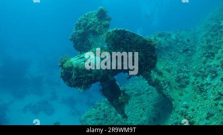 Propeller der Fähre Salem Express Schiffswrack, Rotes Meer, Safaga, Ägypten Stockfoto