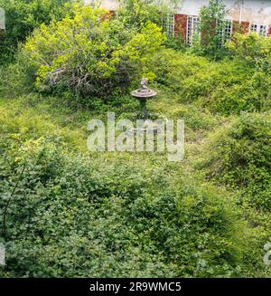 Die Brachel bedecken fast vollständig eine alte Innenterrasse mit einem Steinbrunnen in einem verlassenen Krankenhaus in Castro in Lugo, Galicien Stockfoto