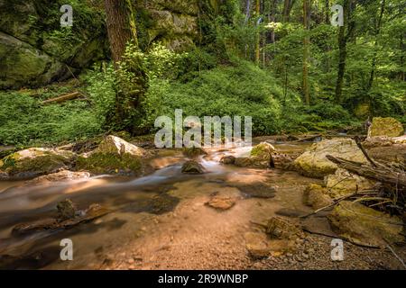 Stream, Johannesbachklamm, Wuerflach, Wiener Alpen, Niederösterreich, Österreich Stockfoto