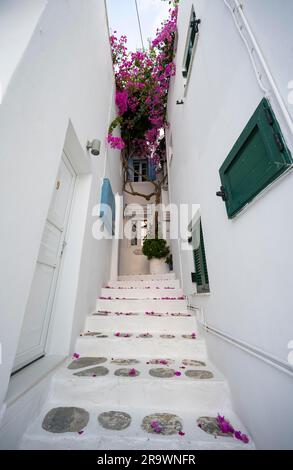 Kykladische weiße Häuser mit bunten Fensterläden und Bougainvillea, enge Gassen der Altstadt Chora, Mykonos, Kykladen, Griechenland Stockfoto