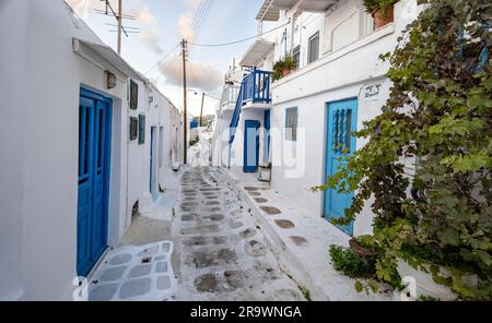 Kykladische weiße Häuser mit bunten Fensterläden, Gassen der Altstadt Chora, Mykonos Stadt, Mykonos, Kykladen, Griechenland Stockfoto