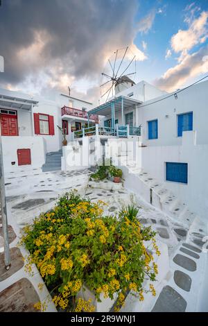 Kykladische weiße Häuser mit bunten Fensterläden, Bonis Windmühle hinten, bei Sonnenaufgang, Gassen der Altstadt Chora, Mykonos Stadt, Mykonos, Kykladen Stockfoto