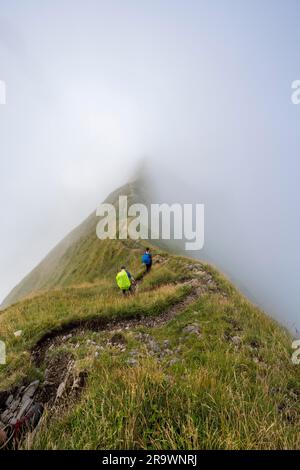 Kletterer auf einem schmalen Hügel, steile, grasbedeckte Berge im Nebel, Marwes, Saentis, Appenzell Ausserrhoden, Appenzell Alpen, Die Schweiz Stockfoto