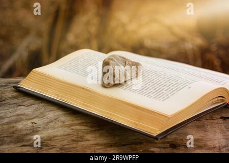 Stein auf ein offenes Buch setzen auf Baumstamm. Die Sonnenstrahlen Blinzeln durch die Äste Stockfoto