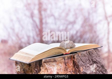 Rosa High Key eines Steines auf ein offenes Buch setzen auf Baum nahe dem Fluss im winter Stockfoto