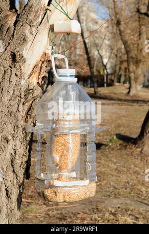 Große Kunststoff-Flasche verwendet als Zubringer für Vögel im winter Stockfoto
