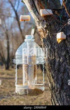 Große Kunststoff-Flasche verwendet als Zubringer für Vögel im winter Stockfoto