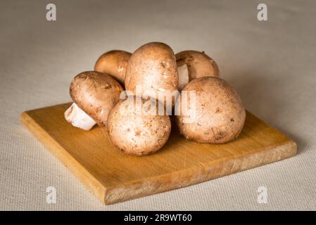 Frische braune Champignons-Pilze (Agaricus bisporus) auf einem Holzteller Stockfoto