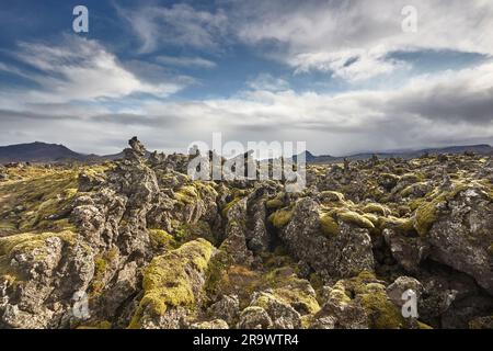 Eine gebrochene Masse an massiver Lava, bedeckt mit kolonialisierenden Moosen, die das Lavafeld Berserkjahraun auf der Halbinsel Snaefellsnes, westlich von Island, wiederbelebt. Stockfoto