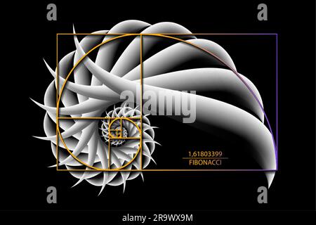 Fibonacci-Sequenz Goldenes Verhältnis. Geometrische Formen Spirale. 3D Schneckenspirale. Muschel aus weißen Kreisen. Logo-Vorlage für heilige Geometrie. Vektor isoliert Stock Vektor