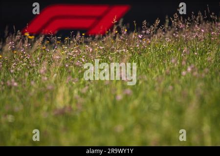 Spielberg, Österreich. 29. Juni 2023. Atmosphäre des Stromkreises. 29.06.2023. Formel-1-Weltmeisterschaft, Rd 10, Österreichischer Grand Prix, Spielberg, Österreich, Vorbereitungstag. Das Foto sollte wie folgt lauten: XPB/Press Association Images. Kredit: XPB Images Ltd/Alamy Live News Stockfoto