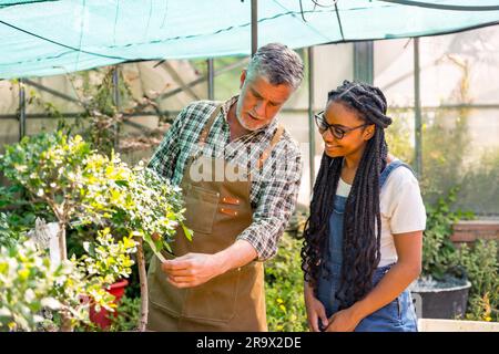 Blumenbauarbeiter, die Pflanzen im Gewächshaus kontrollieren Stockfoto