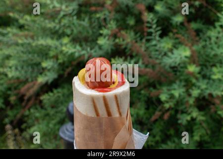 polnischer Hähnchen-Hotdog mit Tomate: Ein klassisches polnisches Street Food mit einer schmackhaften Hühnerwurst garniert mit frischer Tomaten- und Senfsauce Stockfoto