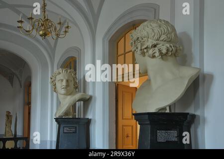 Zwei Köpfe der kolossalen Statue der Dioscuri, der sogenannte Reitbändiger aus Monte Cavallo, ursprünglich in Rom, Burg, Rudolstadt, Thüringen Stockfoto