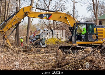 Detroit, Michigan, Arbeiter, die Bäume von einer verlassenen Bahnstrecke entfernen, die Teil des Joe Louis Greenway sein wird, einer 27,5 km langen Wanderung und Stockfoto