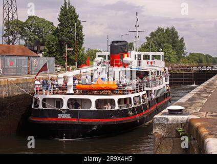 Mersey Ferry Snowdrop, fährt durch Warrington östlich bei Latchford Locks, auf dem Weg zu Salford Quays, NW England, UK WA4 1NN Stockfoto