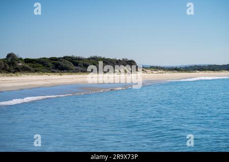 Im Frühling blickt ihr in einem Nationalpark am hawksnest australia auf die Meereslandschaft des Strandes Stockfoto