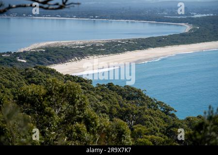 Im Frühling blickt ihr in einem Nationalpark am hawksnest australia auf die Meereslandschaft des Strandes Stockfoto