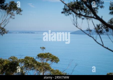 Im Frühling blickt ihr in einem Nationalpark am hawksnest australia auf die Meereslandschaft des Strandes Stockfoto