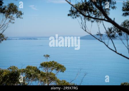 Im Frühling blickt ihr in einem Nationalpark am hawksnest australia auf die Meereslandschaft des Strandes Stockfoto