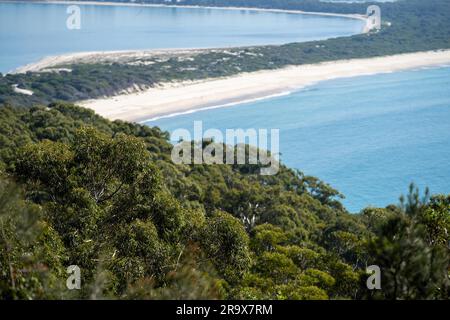 Im Frühling blickt ihr in einem Nationalpark am hawksnest australia auf die Meereslandschaft des Strandes Stockfoto