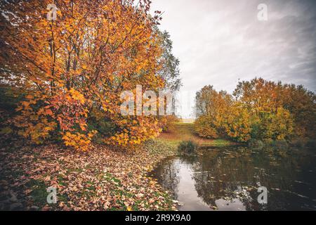 Bunte Bäume an einem kleinen Teich im Herbst mit Herbst Blätter in den Rasen und die stillen Wasser des Sees Stockfoto