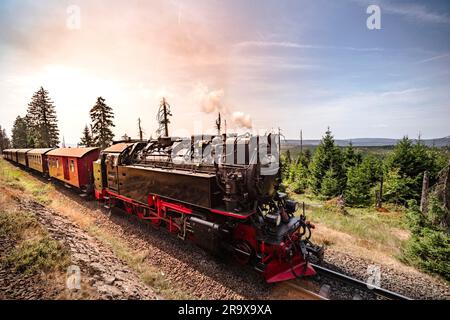 Dampflok fahren durch die wunderschöne Natur im Sommer Stockfoto