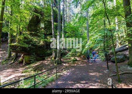 Malerweg durch die Sächsische Schweiz. Lohmen/Stadt Wehlen, Deutschland. Sächsische Schweiz, Wanderweg von Wehlen nach Utterwalder Felsentor. Elbsandsteingebirge. Nationalpark Sächsische Schweiz Stockfoto