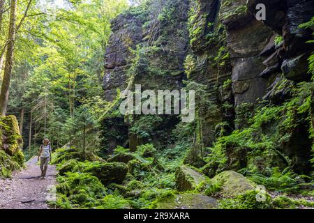 Wanderweg durch den Utterwalder Grund, Inspirationsort des Malers Caspar David Friedrich. Die Säschsische Schweiz ist berühmt für ihre bizarren Felsskulpturen und düsteren Schluchten. Malerweg durch die Sächsische Schweiz. Lohmen/Stadt Wehlen, Deutschland Stockfoto