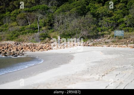 Im Frühling blickt ihr in einem Nationalpark am hawksnest australia auf die Meereslandschaft des Strandes Stockfoto