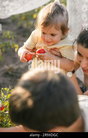 Von oben, von einer anonymen Mutter mit einem süßen kleinen Sohn an den Händen, die an einem sonnigen Sommertag auf dem Land auf einem grasbedeckten Rasen saß Stockfoto