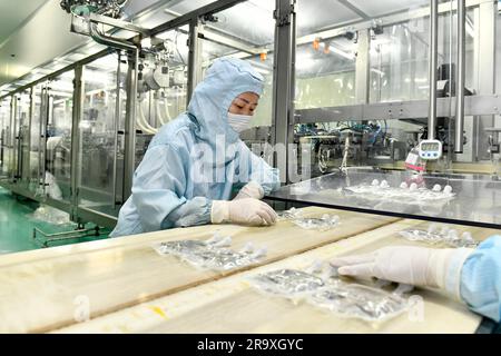 (230629) -- RIZHAO, 29. Juni 2023 (Xinhua) -- Ein Mitarbeiter arbeitet an der Produktionslinie für medizinische Injektionen bei einem Pharmaunternehmen in der Rizhao Hi-Tech Industrial Development Zone in Rizhao City, Ostchina Provinz Shandong, 29. Juni 2023. Die Rizhao Hi-Tech Industrial Development Zone hat erfolgreich neue Wachstumsmotoren aktiviert, indem sie den Schwerpunkt auf High-End-Technologie und Innovation gelegt hat. Durch Maßnahmen wie die Verbesserung des Unternehmensumfelds, die Anziehung neuer Investitionen und die Förderung des Zustroms von Spitzentalenten hat sie effektiv ein System der industriellen Entwicklung geschaffen Stockfoto