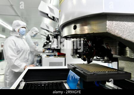 (230629) -- RIZHAO, 29. Juni 2023 (Xinhua) -- Mitarbeiter arbeiten in einem Industriegebiet in der Hi-Tech Industrial Development Zone von Rizhao City, Ostchina Provinz Shandong, 29. Juni 2023. Die Rizhao Hi-Tech Industrial Development Zone hat erfolgreich neue Wachstumsmotoren aktiviert, indem sie den Schwerpunkt auf High-End-Technologie und Innovation gelegt hat. Durch Maßnahmen wie die Verbesserung des Unternehmensumfelds, die Anziehung neuer Investitionen und die Förderung des Zustroms von Spitzentalenten hat sie effektiv ein System der industriellen Entwicklung geschaffen, das Schlüsselsektoren umfasst, zu denen auch die neuen Gattungen gehören Stockfoto