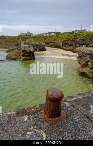 Mit Blick auf den Hafen am Hafen von Ness Isle of Lewis, Schottland Stockfoto