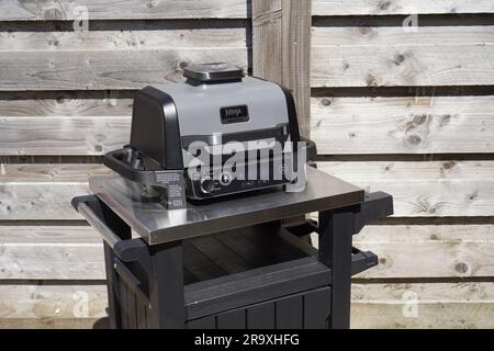 Ninja Woodfire BBQ Smoker Oven Grill Health Airfryer. Stockfoto