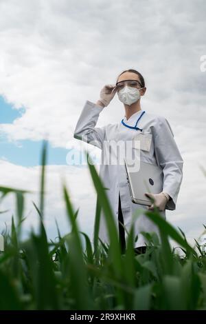 Agronomist mit Tablett und Technologie im landwirtschaftlichen Maisfeld. Der Bauer geht mit einem Tablet durch das Feld. Biologin mit Laptop Stockfoto