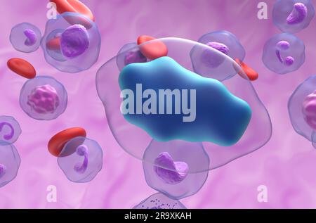 Paracetamol (Acetaminophen, TYL) Molekül im Blutfluss - Nahaufnahme 3D Abbildung Stockfoto