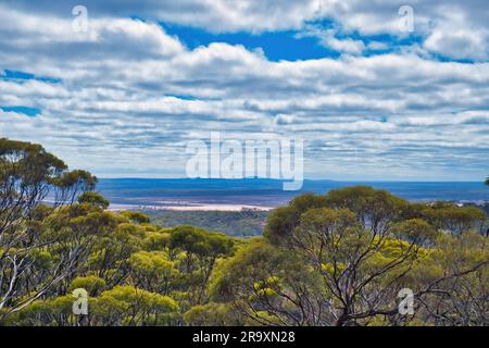 Panoramablick von Beacon Hill in Norseman, Westaustralien, über den Salzsee Lake Cowan und das leere Land der Great Western Woodlands. Stockfoto