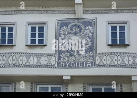 Detail der Hauswand von Schmidsche Apotheke, erbaut im 18. Jahrhundert mit Dekoration, Mosaik und Schriftzeichen Hygieia mit Apothekenemblem in Nagold, Stockfoto