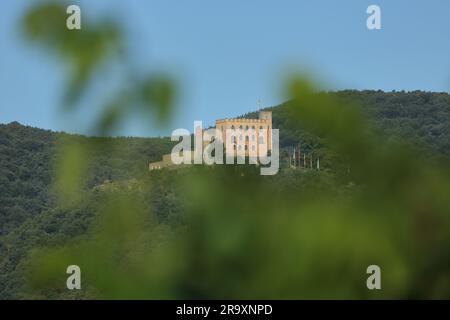 Blick auf das im 11. Jahrhundert erbaute Hambacher Schloss, im pfalzgartigen Weinanbaugebiet, Hambach, Neustadt an der Weinstraße, Pfalz-Wald, Germ Stockfoto