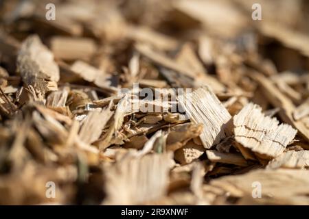 Ein Haufen Holzspäne und ein Kompost in einem Gemeindegarten in australien im Frühjahr Stockfoto