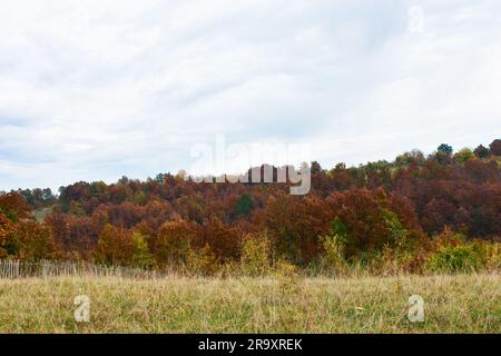 Romantische Herbstlandschaft mit Herbstfarben von Wiesen und bewaldeten Hügeln im Hintergrund Stockfoto