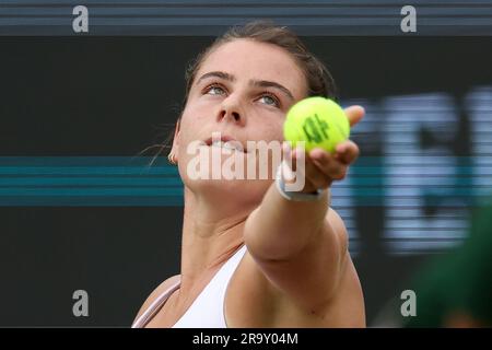 Bad Homburg, Deutschland. 29. Juni 2023. Tennis, WTA-Tour, Singles, Frauen, Quarterfinals, Masarova (Spanien) - Navarro (USA): Emma Navarro bereitet sich auf den Dienst vor. Kredit: Joaquim Ferreira/dpa/Alamy Live News Stockfoto