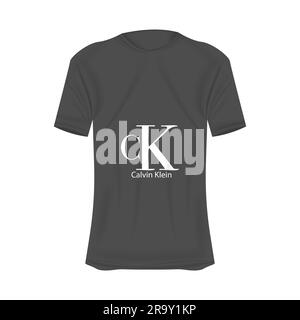 Calvin-Klein-Logo-T-Shirt in grauen Farben. Modell eines realistischen Trikots mit kurzen Ärmeln. Leere T-Shirt-Vorlage mit leerem Platz für Design. Kal Stock Vektor