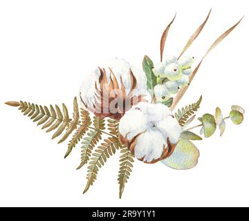 Aquarellfarben-Zusammensetzung mit Baumwolle, Eukalyptus, Schneebeeren und Farn isoliert auf weißem Hintergrund Stockfoto