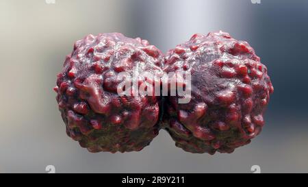 Unkontrolliertes Wachstum von Krebszellen über Gewebe, Tumorinfektionszellen und Ausbreitung, invasive Entzündung und Metastasen Krebs. Reproduzieren Stockfoto