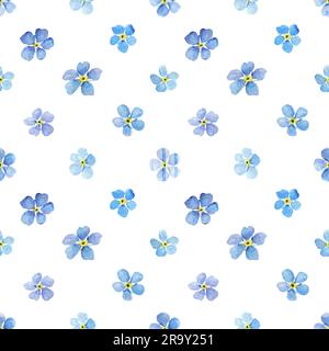 Wasserfarbenes nahtloses Muster mit „Forget Me nots“, botanischer Illustration, Muster auf weißem Hintergrund Stockfoto
