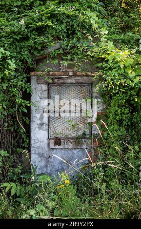 Die Geheimtür im Wald Stockfoto